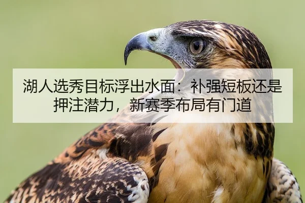 湖人选秀目标浮出水面：补强短板还是押注潜力，新赛季布局有门道