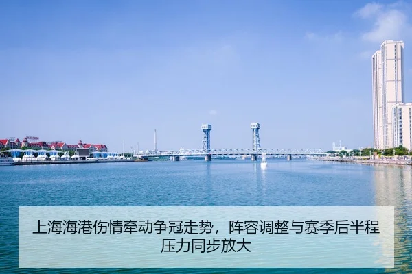 shang-hai-hai-gang-shang-qing-qian-dong-zheng-guan-zou-shi-zhen-rong-tiao-zheng-yu-sai-ji-hou-ban-cheng-ya-li-tong-bu-3-801.jpg