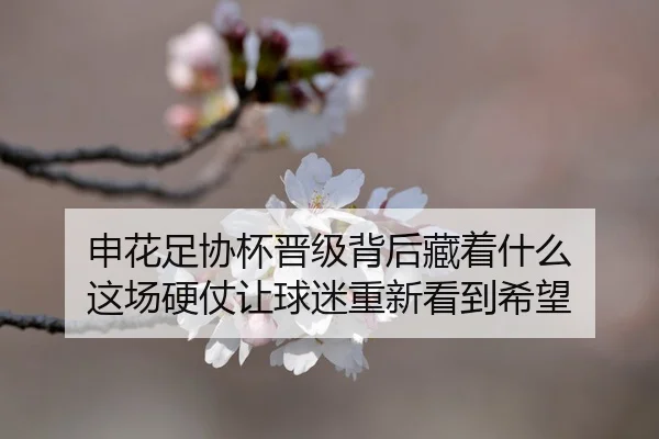 shen-hua-zu-xie-bei-jin-ji-bei-hou-cang-zhe-shen-me-zhe-chang-ying-zhang-rang-qiu-mi-chong-xin-kan-dao-xi-wang-2-889.jpg